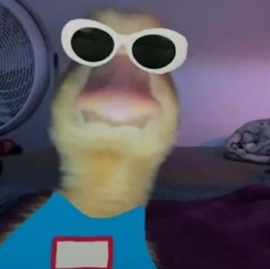 Meet your Posher, Luis